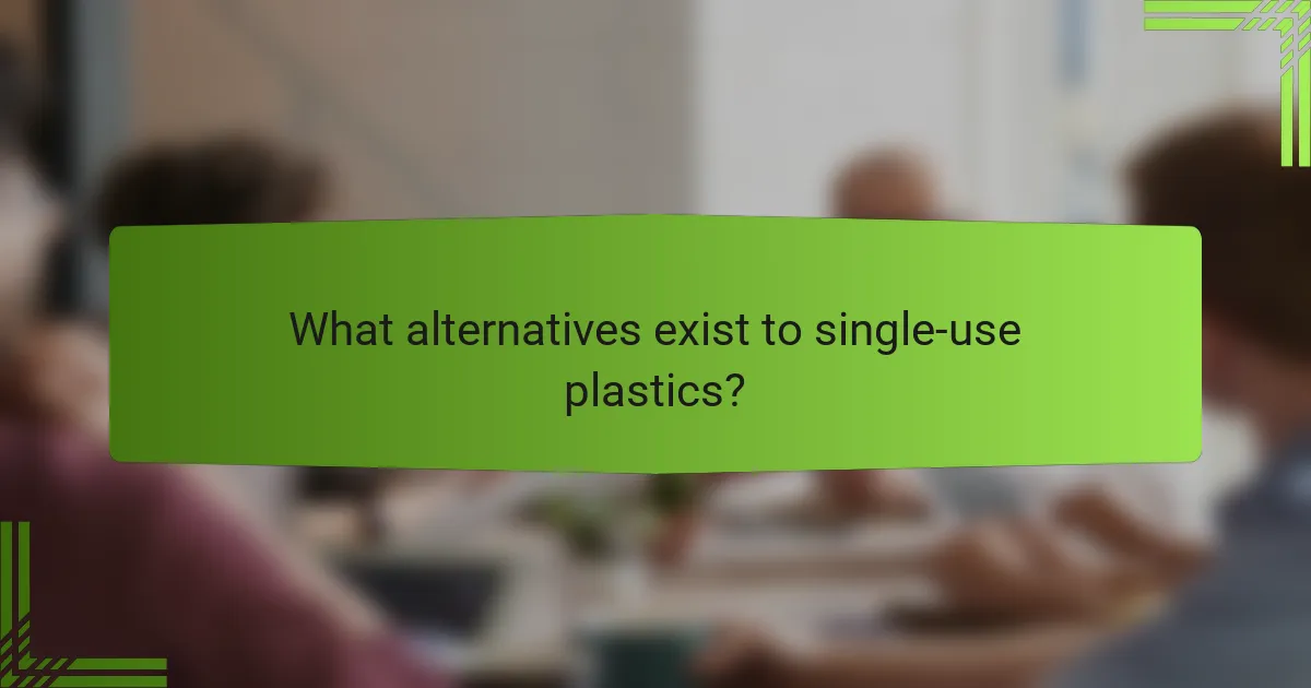 What alternatives exist to single-use plastics?