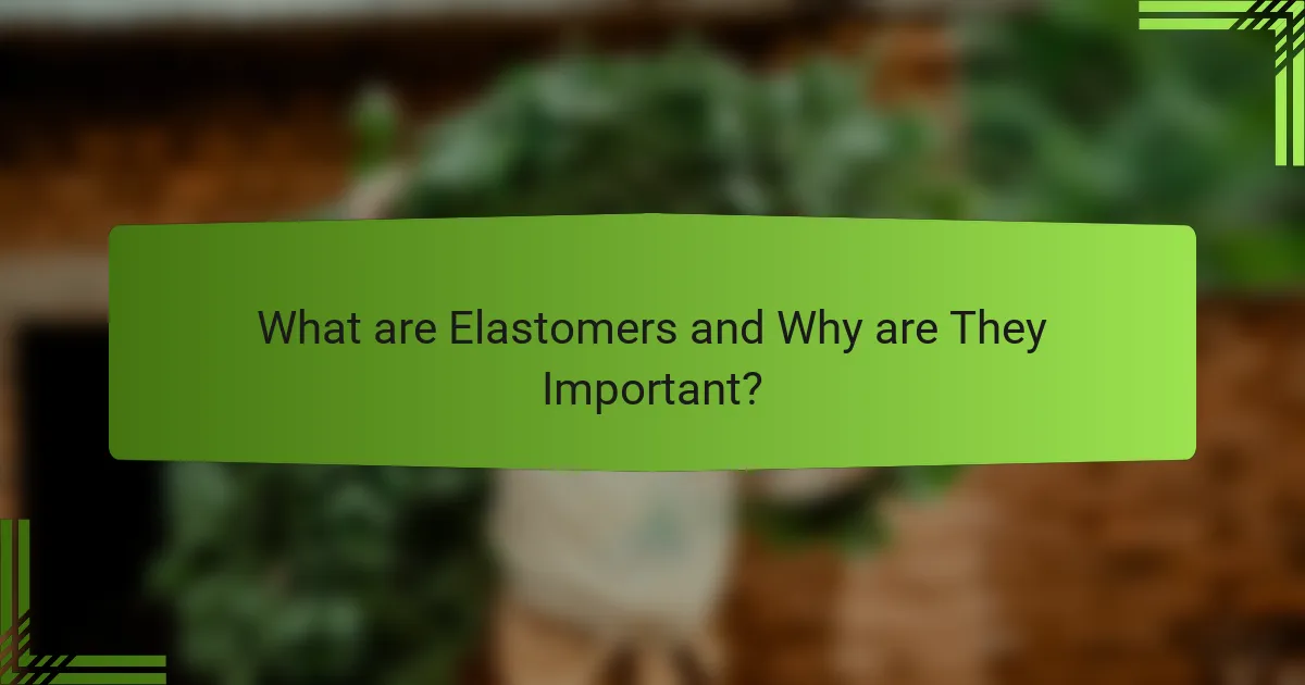 What are Elastomers and Why are They Important?