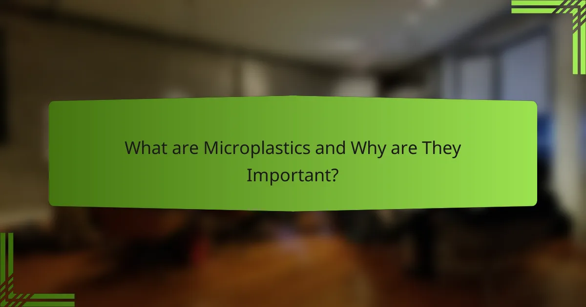 What are Microplastics and Why are They Important?