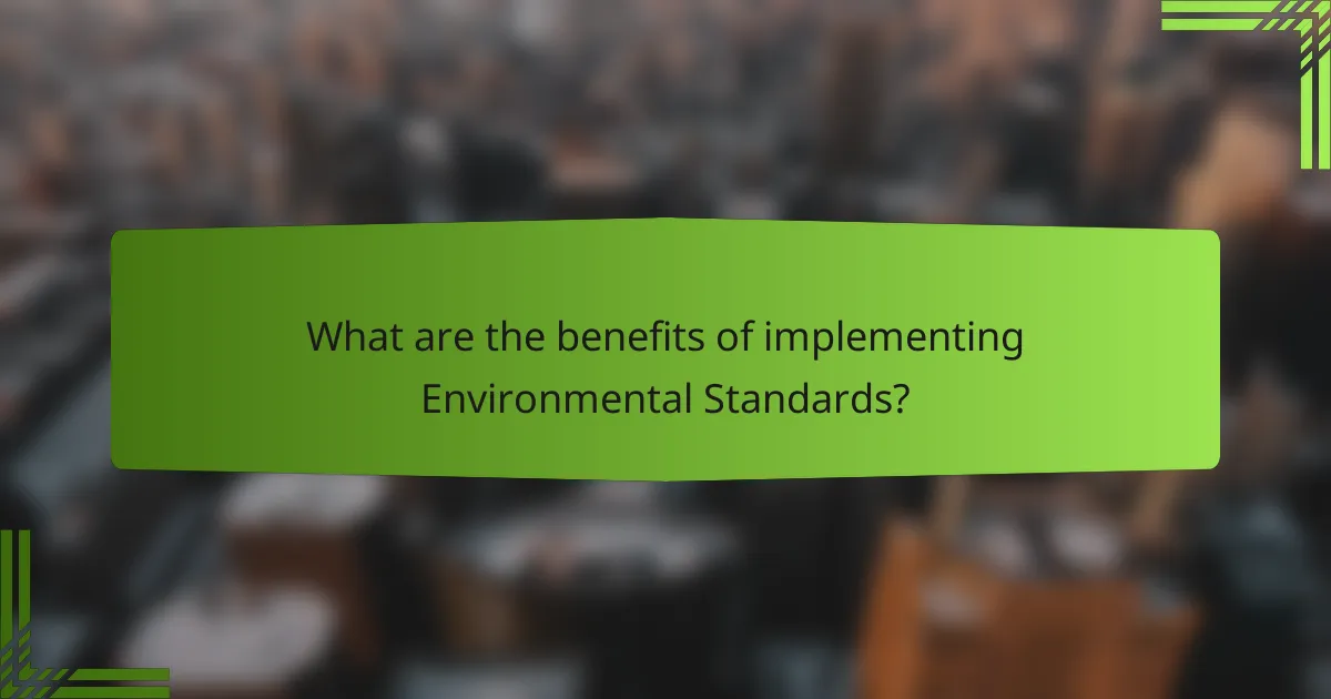 What are the benefits of implementing Environmental Standards?