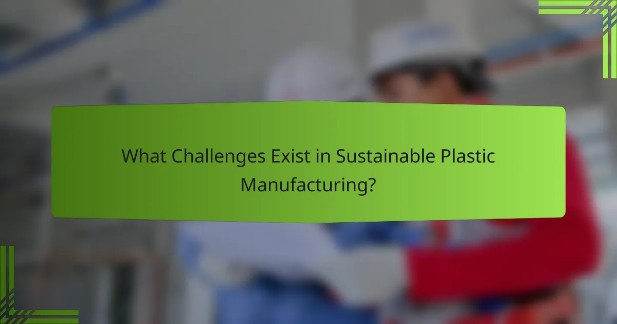 What Challenges Exist in Sustainable Plastic Manufacturing?